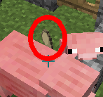 《我的世界》最經(jīng)典的新手教程