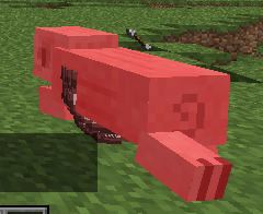 《我的世界》最經典的新手教程