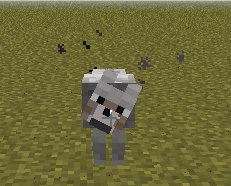 《我的世界》最經(jīng)典的新手教程