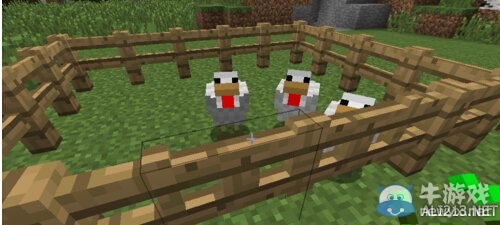 《我的世界》雞養(yǎng)殖方法分享