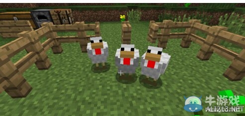 《我的世界》雞養(yǎng)殖方法分享