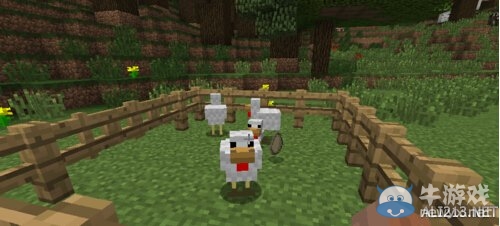 《我的世界》雞養(yǎng)殖方法分享