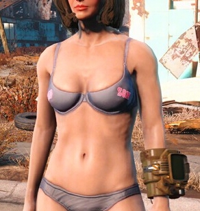 《輻射4》個性化清涼內褲MOD使用教程