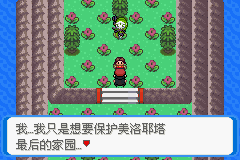 《口袋妖怪：決心》二周目圖文攻略