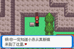 《口袋妖怪：決心》二周目圖文攻略