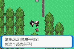 《口袋妖怪：決心》一周目圖文攻略