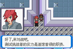 《口袋妖怪：決心》一周目圖文攻略