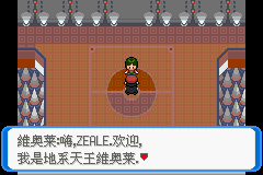 《口袋妖怪：決心》二周目圖文攻略