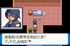 《口袋妖怪：決心》二周目圖文攻略