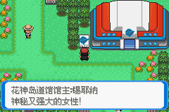 《口袋妖怪：決心》二周目圖文攻略