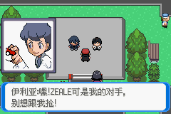 《口袋妖怪：決心》二周目圖文攻略