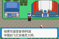 《口袋妖怪：決心》二周目圖文攻略