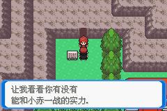 《口袋妖怪：決心》二周目圖文攻略