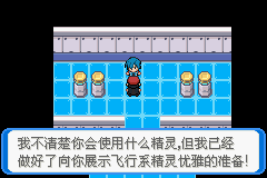《口袋妖怪：決心》二周目圖文攻略
