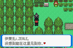 《口袋妖怪：決心》二周目圖文攻略