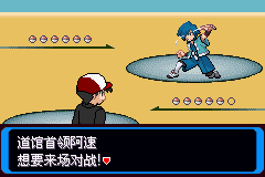 《口袋妖怪：決心》二周目圖文攻略