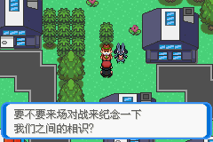 《口袋妖怪：決心》一周目圖文攻略