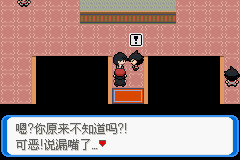《口袋妖怪：決心》一周目圖文攻略