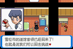《口袋妖怪：決心》一周目圖文攻略