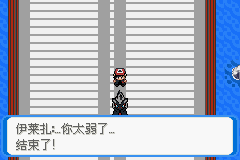 《口袋妖怪：決心》二周目圖文攻略