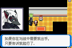 《口袋妖怪：決心》二周目圖文攻略
