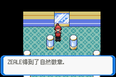 《口袋妖怪：決心》二周目圖文攻略