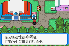 《口袋妖怪：決心》二周目圖文攻略