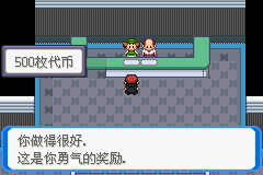《口袋妖怪：決心》二周目圖文攻略