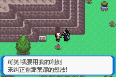 《口袋妖怪：決心》一周目圖文攻略
