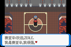 《口袋妖怪：決心》二周目圖文攻略