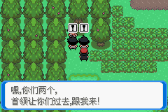 《口袋妖怪：決心》一周目圖文攻略