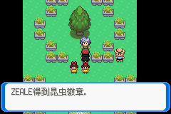 《口袋妖怪：決心》二周目圖文攻略
