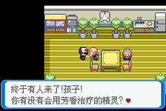 《口袋妖怪：決心》二周目圖文攻略