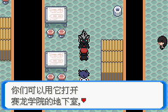 《口袋妖怪：決心》一周目圖文攻略