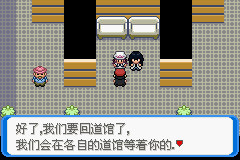 《口袋妖怪：決心》二周目圖文攻略