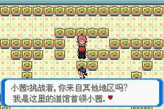 《口袋妖怪：決心》二周目圖文攻略