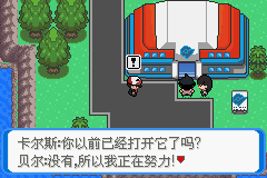 《口袋妖怪：決心》二周目圖文攻略