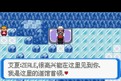 《口袋妖怪：決心》二周目圖文攻略