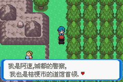 《口袋妖怪：決心》二周目圖文攻略
