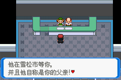 《口袋妖怪：決心》二周目圖文攻略