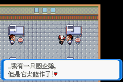 《口袋妖怪：決心》一周目圖文攻略