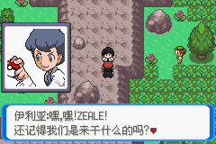 《口袋妖怪：決心》一周目圖文攻略