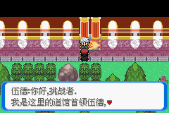 《口袋妖怪：決心》二周目圖文攻略