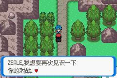 《口袋妖怪：決心》二周目圖文攻略