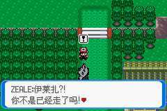 《口袋妖怪：決心》二周目圖文攻略