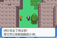 《口袋妖怪：決心》一周目圖文攻略