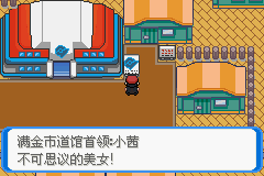 《口袋妖怪：決心》二周目圖文攻略