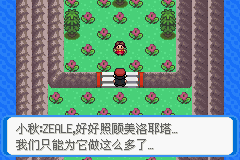 《口袋妖怪：決心》二周目圖文攻略