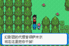 《口袋妖怪：決心》一周目圖文攻略