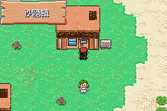 《口袋妖怪：決心》二周目圖文攻略